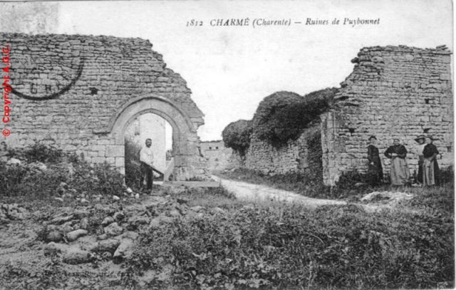 Ruines de Puybonnet.jpg